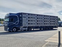 Pezzaioli + Daf XF - 3/4 deck livestock - 134.8m2 - Water...
