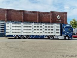Pezzaioli + Daf XF - 3/4 deck livestock - 134.8m2 - Water...