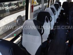 Iveco Daily Line New / 4 X UNITS / 65C18H8 4100L / Ai...