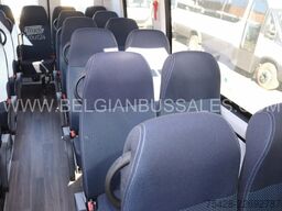 Iveco Daily Line New / 4 X UNITS / 65C18H8 4100L / Ai...