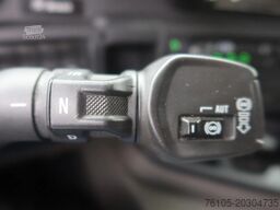 Scania P250 Bak+Dhollandia 2.000 kg 4x2 6 Cilinder