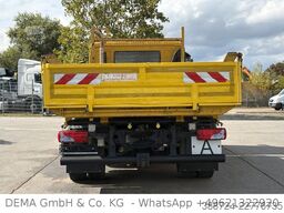 MAN TGL 12.250*E6b*AHK*3-Seitenkipper*Bordwände*TÜV*