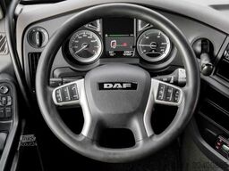 DAF XF 480 FT SSC + MX-BREAK + 545l TANK Klima ZV