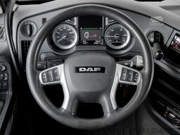 DAF XF 480 FT SSC + MX-BREAK + 545l TANK Klima ZV