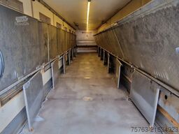 Fliegl R440 Schmitz/Fliegl livestock trailer - 2 stock...