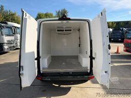 MERCEDES-BENZ SPRINTER 313 CDI Kühlkasten kurz*WÜKARO T+N