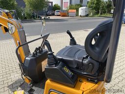 Berger Kraus BK1300JSR mit Kubota Motor + Schwenkarm