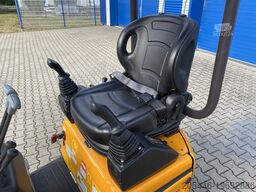 Berger Kraus BK1300JSR mit Kubota Motor + Schwenkarm
