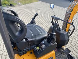 Berger Kraus BK1300JSR mit Kubota Motor + Schwenkarm