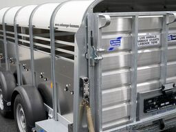 Ifor Williams TA5 | 12x4 372X156X120CM VIEHANHÄNGER