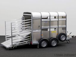 Ifor Williams TA5 | 8x6 | DOPPELSTOCK 241X156X183CM VIEHANHÄNGER | 2X LÜFTUNG