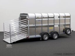 Ifor Williams TA510 | 14x6 | RAMPE-/TÜR-KOMBI 434X178X183CM VIEHANHÄNGER | 2X LÜFTUNG