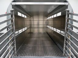 Ifor Williams TA510 | 14x6 | RAMPE-/TÜR-KOMBI 434X178X183CM VIEHANHÄNGER | 2X LÜFTUNG