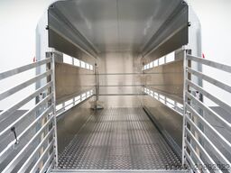 Ifor Williams TA510 | 14x7 | RAMPE-/TÜR-KOMBI 434X178X214CM VIEHANHÄNGER | 2X LÜFTUNG