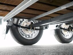 Ifor Williams TA510 | 14x7 | RAMPE-/TÜR-KOMBI 434X178X214CM VIEHANHÄNGER | 2X LÜFTUNG
