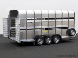 Ifor Williams TA510GT | 16x7 | TANK | RAMPE-/TÜR-KOMBI 497X178X214CM VIEHANHÄNGER | 2X LÜFTUNG