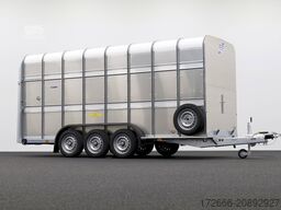 Ifor Williams TA510GT | 16x7 | TANK | RAMPE-/TÜR-KOMBI 497X178X214CM VIEHANHÄNGER | 2X LÜFTUNG