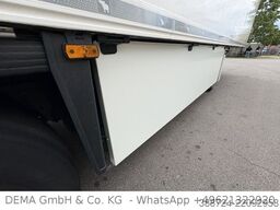SCHMITZ CARGOBULL SCBS3B*5 Rohrbahnen*Fleischhang*Schmitz-Achsen*