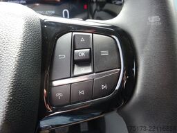 FORD Nugget Plus 320L2 Active AT AHK 360Kam Aufstelld