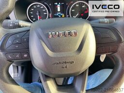 IVECO 35S16 Maxi - 2024