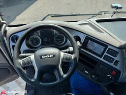 DAF XF 480*Palfinger Kran*Lift/Lenkachse*394 TKM*
