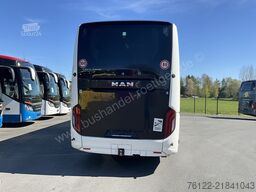 MAN R 07 Lions Coach