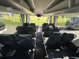 MAN R 07 Lions Coach