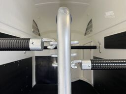 Böckmann Big Master WCF Sonder Pferdeanhänger
