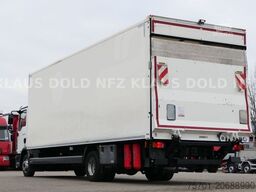 MAN TGL 12.250 Koffer 12t Kamera LBW Euro 6