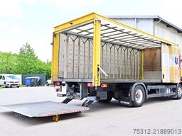 Scania P340  E3 Alu-Latten LBW AHK Alufelgen Blatt Luft