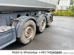 FLIEGL DHKS 390 Stahl *50m³/Lift/Podest/Getreideöffnung