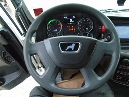 MAN TGS 28.470 + 20T hook + 6x2