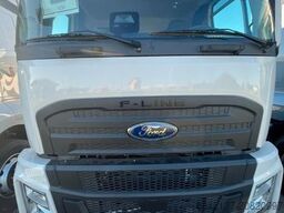 FORD FORD F_LINE NEU 1845 T - Hagelschaden