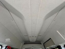 FIAT Ducato 3.0 Natural Power/CNG/Benzin 9 Sitze Pdc