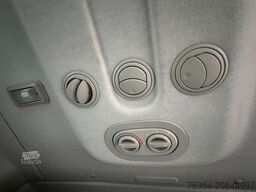 FIAT Ducato 3.0 Natural Power/CNG/Benzin 9 Sitze Pdc