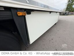 SCHMITZ CARGOBULL SCBS3B*5 Rohrbahnen*Fleischhang*Schmitz-Achsen*