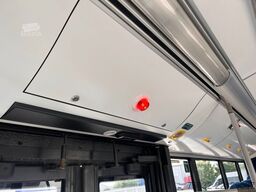 SOLARIS Urbino III 8,9 LE - Alpino - Klima Gurte