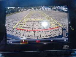 MERCEDES-BENZ V250 4 Matic 4x4 Marco Polo Horizon