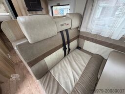 GIOTTILINE Therry T37