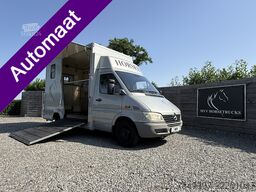 Mercedes-Benz Sprinter | HORSETRUCK | TVW | CLASSIC 3XL | 200...