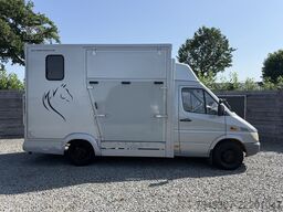 Mercedes-Benz Sprinter | HORSETRUCK | TVW | CLASSIC 3XL | 200...