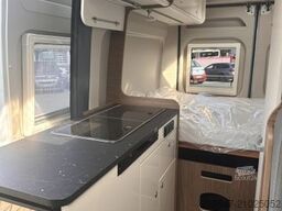 CORIGON CV 55 D *AKTIONSPREIS BIS 31.01.2026*