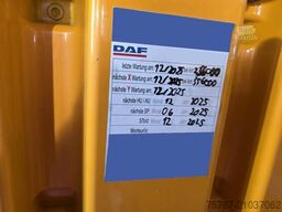 DAF XF 480 SC, ZF Intarder, Kühlschrank