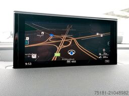 AUDI Q7 3.0TDI/V6 quattro* S-line*luft*Ahk