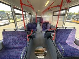 MAN A 26 Lions City LL