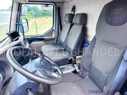 DAF LF 280 FA - Euro 6 - Automatik - Carrier