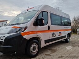FIAT Ducato 9 Sitzer Mobility Airlineboden Rolli