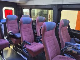 FIAT Ducato 9 Sitzer Mobility Airlineboden Rolli