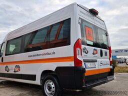 FIAT Ducato 9 Sitzer Mobility Airlineboden Rolli