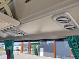 TEMSA 5 units Prestij SX,Novo Lux, Daily, Atego